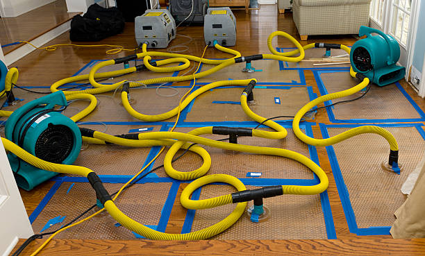 Professional Crawl Space Water Removal technician working in Carville, LA