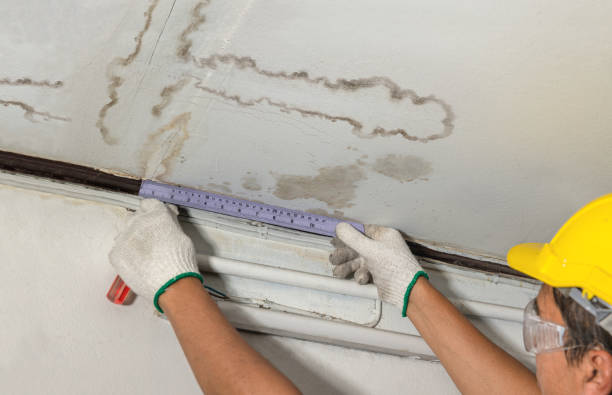 Affordable Water Damage Repair solutions in Carville, LA